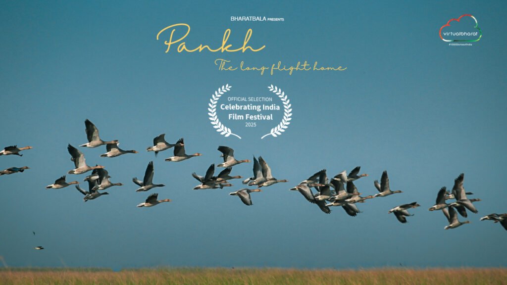 Pankh