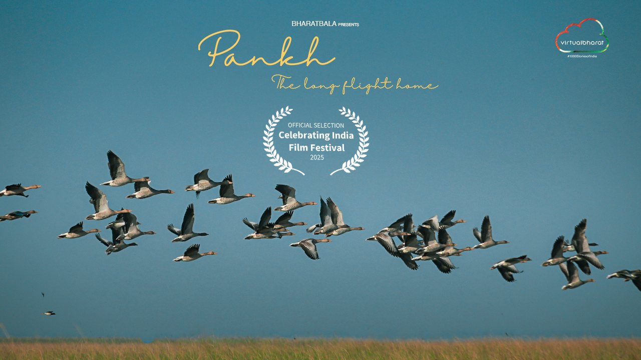Pankh