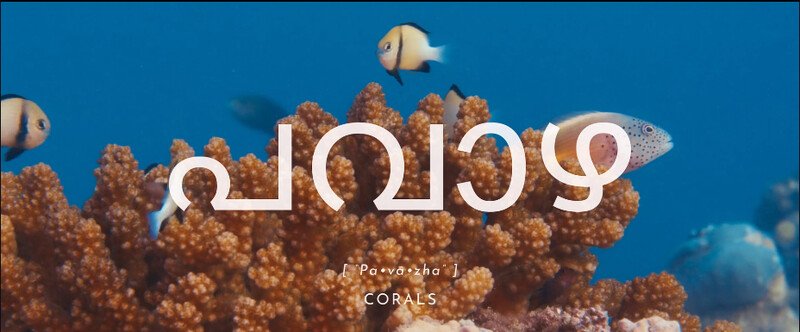 Pavazha-Corals